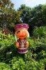 19BB DSC08750.jpg