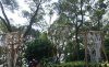 19D DSC08752.jpg