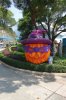 19E DSC08753.jpg