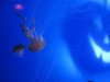 22D IMG_7277.jpg