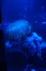 22J DSC08777.jpg
