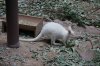 25E DSC06721.jpg