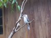 25J IMG_7317.jpg