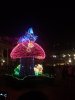 IMG_0436.jpg