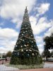 Epcot tree.jpg