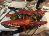 IMG_3921.JPG