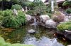 Japan koi pond.jpg