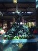 IMG_0811.jpg