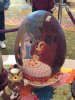 IMG_0833.jpg