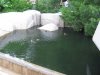 IMG_4232.JPG