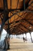32 Stanley Pier DSC06724.jpg