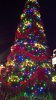 epcot tree small.jpg