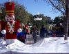 cold day in Florida.jpg