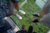 6 DSC06759.jpg