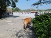 58C IMG_7474.jpg