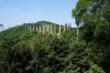 62A DSC06834.jpg