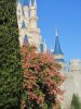 IMG_3833.JPG