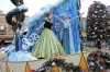 Frozen float.jpg