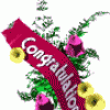 image.gif