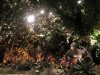 Rainforest Cafe Inside 2.jpg
