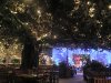 Rainforest Cafe Inside 1.jpg