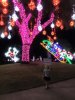 Moody Gardens Lights.jpg
