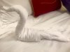 Towel 1.jpg