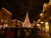 DSC03528.JPG