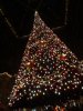 DSC03529.JPG