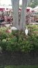 IMG_20150814_164420016.jpg