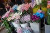 25G nets to protect flower buds DSC09012.jpg