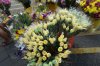 25G DSC09010.jpg