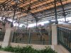 1G DL Station IMG_7827.jpg