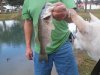 Picture1227151532_1.jpg