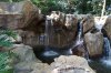 8B DSC06864.jpg