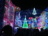 IMG_5882.JPG