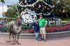 Hollywood Studios Tree.jpg