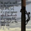 8d5e712b75af7ed00ff1f116b3cf6850.jpg