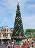 Disney15_1729a.jpg