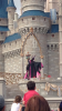 download (16).png