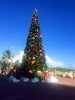 Castaway Cay 18.jpg