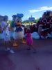 Donald Duck 1.jpg