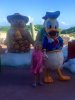 Donald Duck 3.jpg