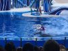 IMG_0283s.jpg