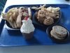 seafire chicken n sandwich.jpg