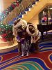 ChipnDale 5.jpg ChipnDale 5.jpg