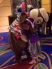 ChipnDale 1.jpg ChipnDale 1.jpg
