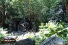 9F DSC09099.jpg