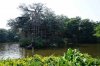 11 DSC06865.jpg