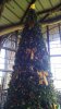 FW Dec 2015 0632.jpg
